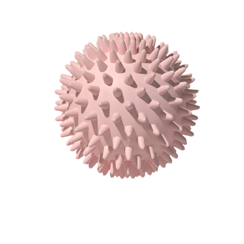 Massage Spikey Ball
